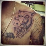 wild boar face tattoo 01.02.2020 №051 -boar tattoo- tattoovalue.net
