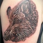 wild boar face tattoo 01.02.2020 №052 -boar tattoo- tattoovalue.net