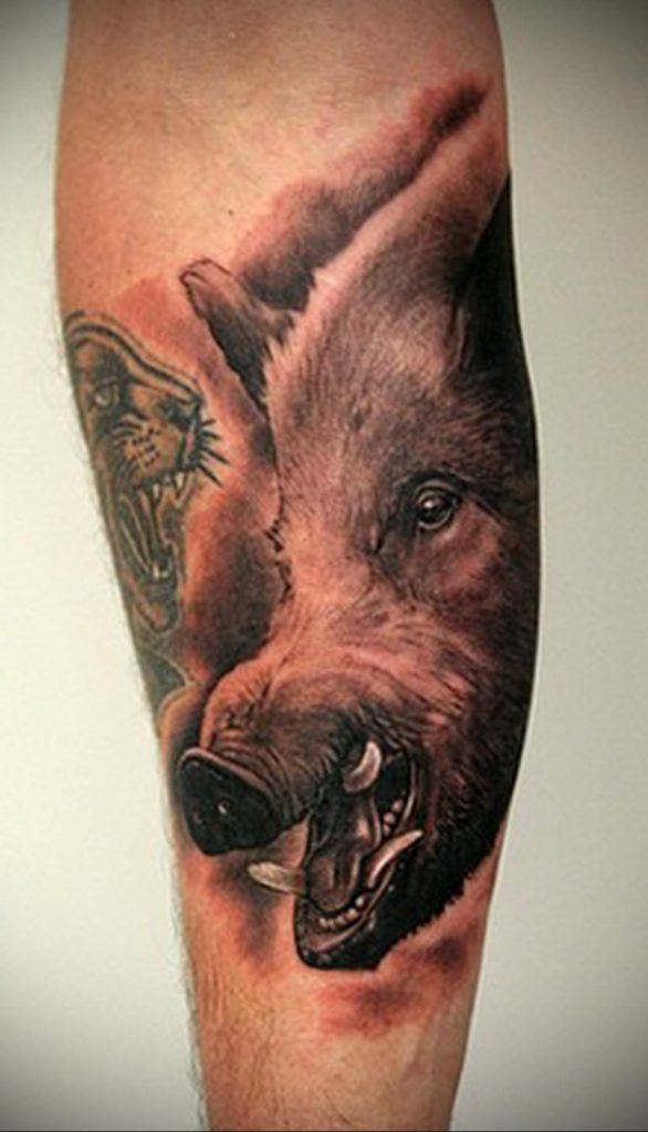 Boar tattoo meaning: drawing options, features, photo examples, sketches, facts