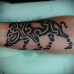wild boar tattoo 01.02.2020 №007 -boar tattoo- tattoovalue.net