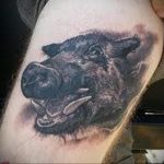 wild boar tattoo 01.02.2020 №010 -boar tattoo- tattoovalue.net