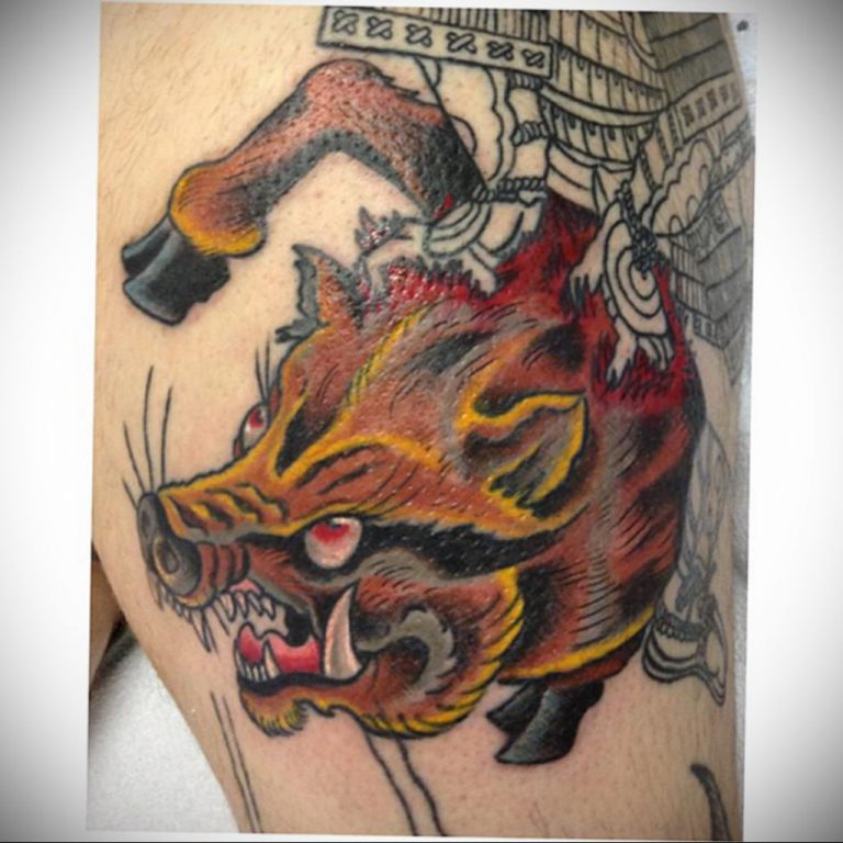 wild boar tattoo 01.02.2020 №058 -boar tattoo- tattoovalue.net - tattoovalue.net
