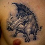 wild boar tattoo 01.02.2020 №077 -boar tattoo- tattoovalue.net