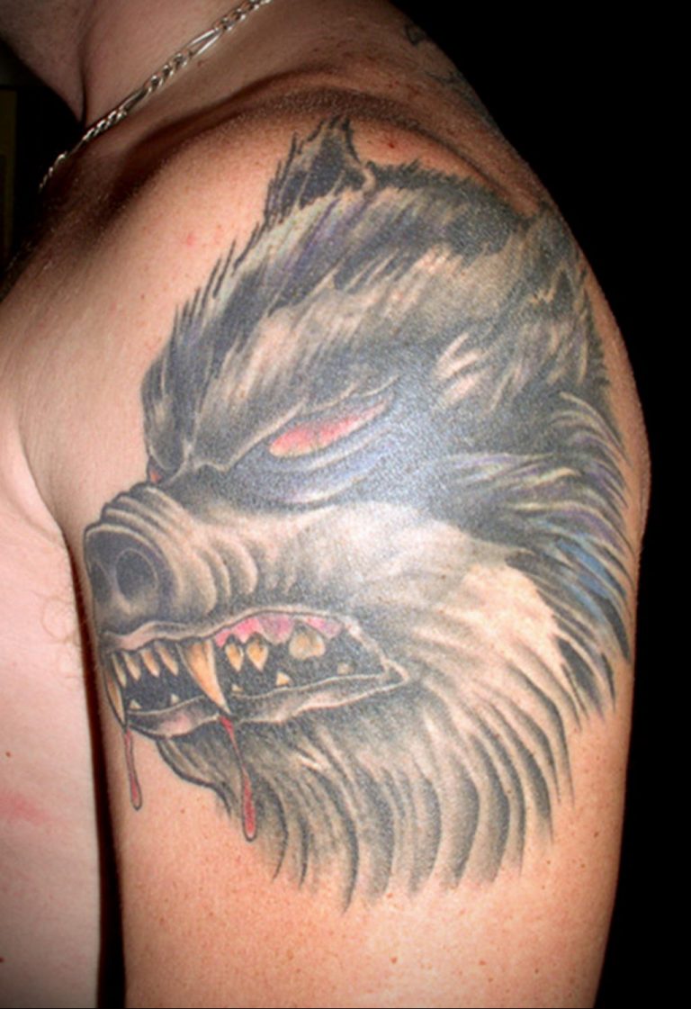 wild boar tattoo 01.02.2020 №092 -boar tattoo- tattoovalue.net - tattoovalue.net