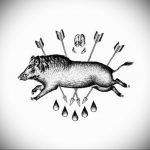 wild boar tattoo 01.02.2020 №104 -boar tattoo- tattoovalue.net