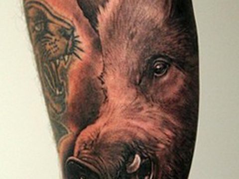 wild boar tattoo 01.02.2020 №122 -boar tattoo- tattoovalue.net