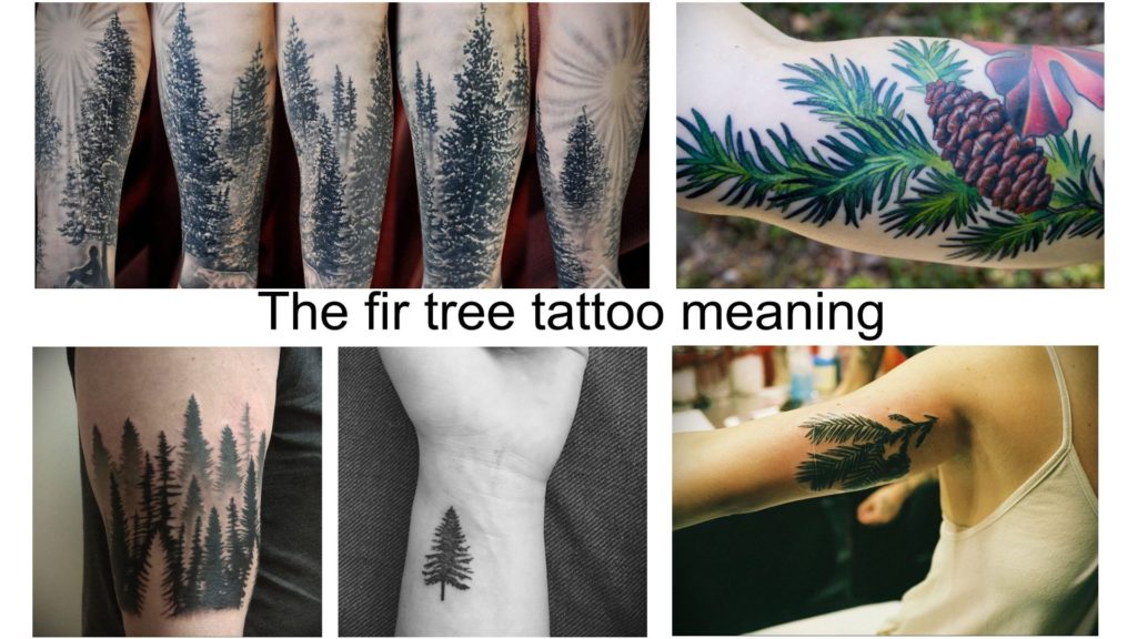 The fir tree tattoo meaning: drawing features, photo examples, facts,  sketches