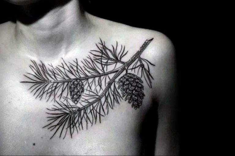 The fir tree tattoo meaning: drawing features, photo examples, facts ...