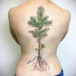 tattoo branch spruce 25.11.2019 №011 -tattoo spruce- tattoovalue.net