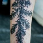 tattoo branch spruce 25.11.2019 №012 -tattoo spruce- tattoovalue.net