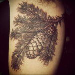 tattoo branch spruce 25.11.2019 №013 -tattoo spruce- tattoovalue.net