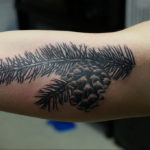 tattoo branch spruce 25.11.2019 №001 -tattoo spruce- tattoovalue.net