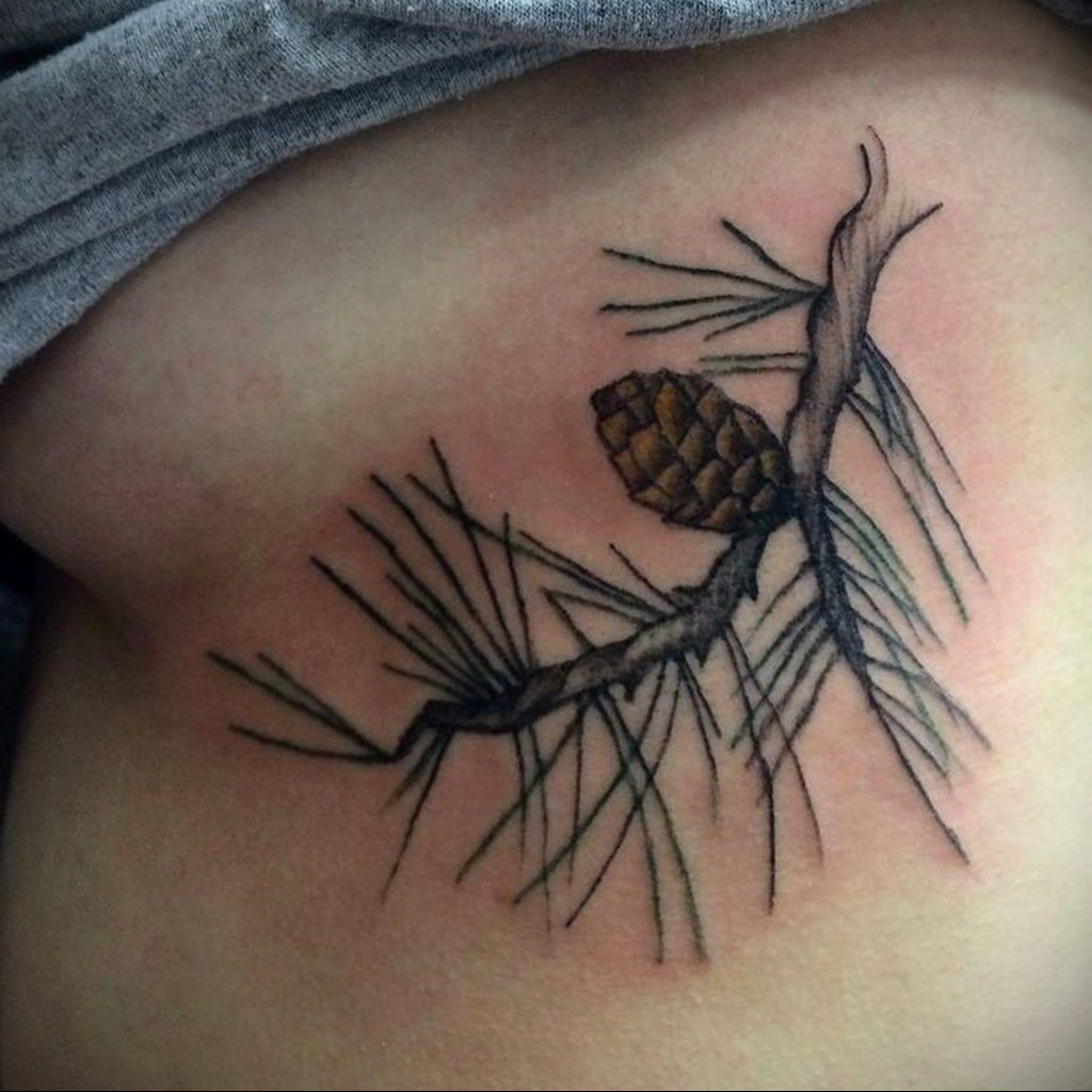 tattoo branch spruce 25.11.2019 №003 -tattoo spruce- tattoovalue.net