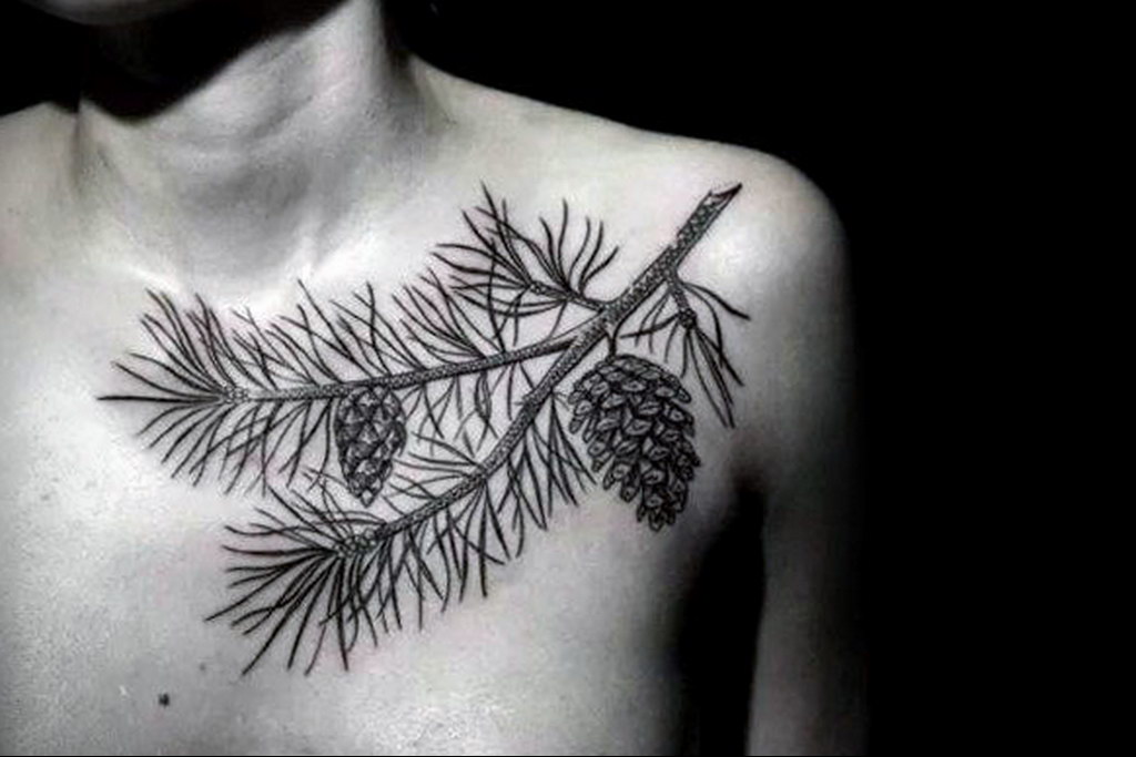 tattoo branch spruce 25.11.2019 №006 -tattoo spruce- tattoovalue.net