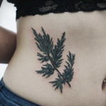 tattoo branch spruce 25.11.2019 №007 -tattoo spruce- tattoovalue.net