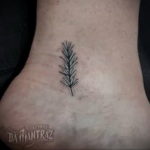tattoo branch spruce 25.11.2019 №009 -tattoo spruce- tattoovalue.net