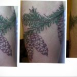 tattoo branch spruce 25.11.2019 №014 -tattoo spruce- tattoovalue.net