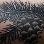 tattoo branch spruce 25.11.2019 №1005 -tattoo spruce- tattoovalue.net