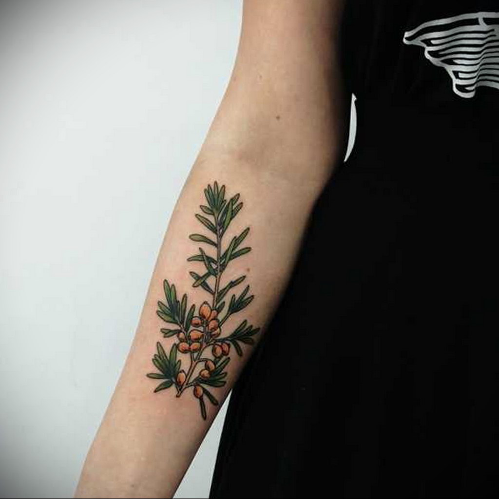 tattoo branch spruce 25.11.2019 №1007 -tattoo spruce- tattoovalue.net