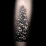 tattoo fir tree on hand 25.11.2019 №038 -tattoo spruce- tattoovalue.net