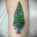 tattoo fir tree on hand 25.11.2019 №1017 -tattoo spruce- tattoovalue.net