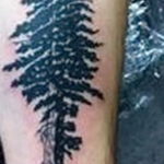 tattoo fir tree on hand 25.11.2019 №1039 -tattoo spruce- tattoovalue.net