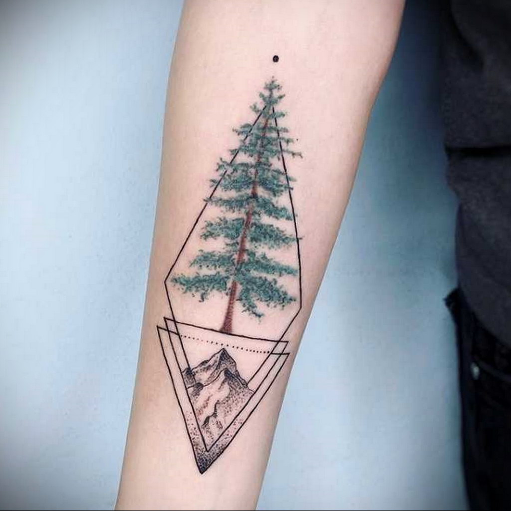 blue spruce tree tattoo