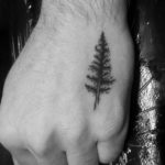 tattoo fir tree on hand 25.11.2019 №004 -tattoo spruce- tattoovalue.net