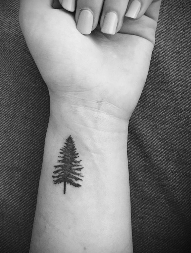 tattoo fir tree on hand 25.11.2019 №005 -tattoo spruce- tattoovalue.net