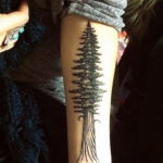tattoo fir tree on hand 25.11.2019 №006 -tattoo spruce- tattoovalue.net