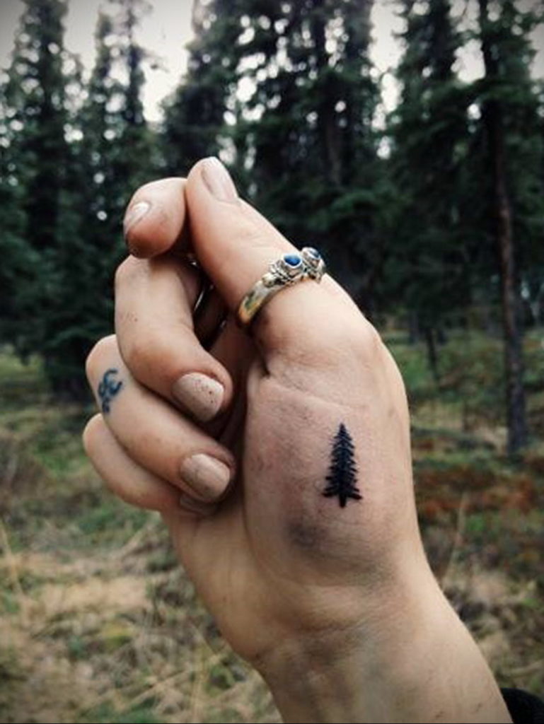 tattoo fir tree on hand 25.11.2019 №009 -tattoo spruce- tattoovalue.net
