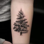 tattoo fir tree on hand 25.11.2019 №021 -tattoo spruce- tattoovalue.net