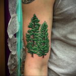 tattoo fir tree on hand 25.11.2019 №033 -tattoo spruce- tattoovalue.net