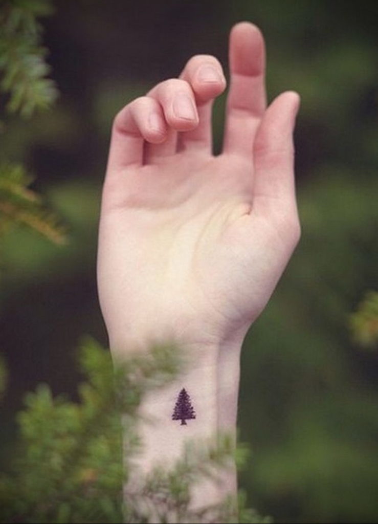 tattoo fir tree on hand 25.11.2019 №035 -tattoo spruce- tattoovalue.net