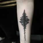 tattoo fir tree on hand 25.11.2019 №1002 -tattoo spruce- tattoovalue.net