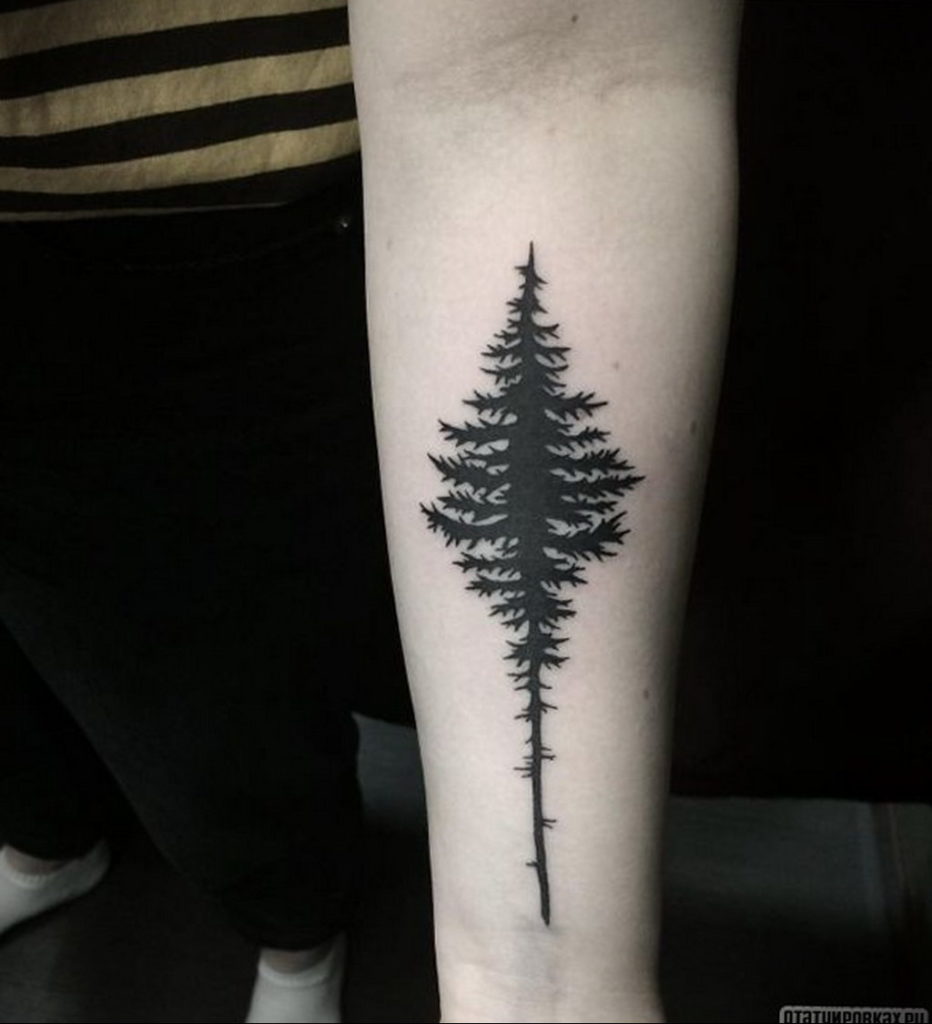 tattoo fir tree on hand 25.11.2019 №1002 -tattoo spruce- tattoovalue.net