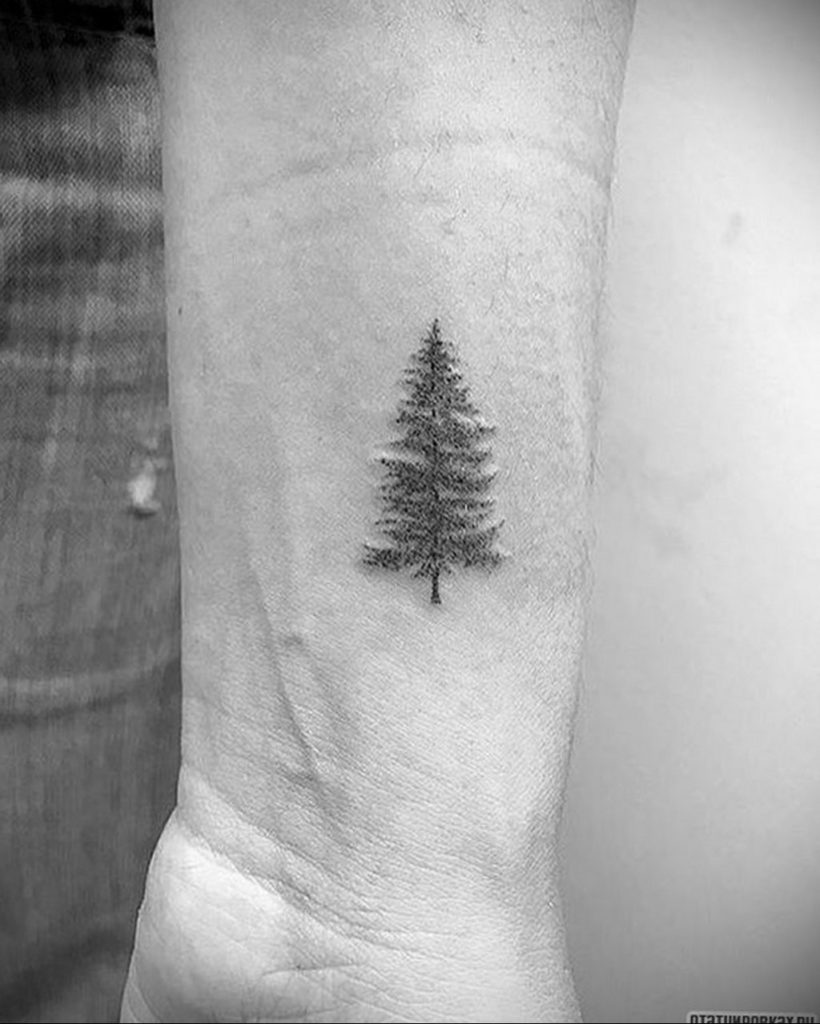 tattoo fir tree on hand 25.11.2019 №1004 -tattoo spruce- tattoovalue.net