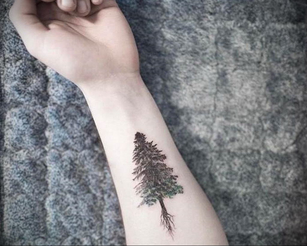 tattoo fir tree on hand 25.11.2019 №1005 -tattoo spruce- tattoovalue.net