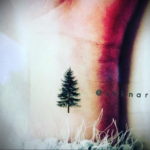 tattoo fir tree on hand 25.11.2019 №1006 -tattoo spruce- tattoovalue.net