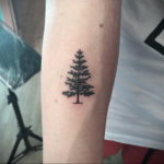 tattoo fir tree on hand 25.11.2019 №1011 -tattoo spruce- tattoovalue.net