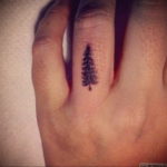 tattoo fir tree on hand 25.11.2019 №1018 -tattoo spruce- tattoovalue.net