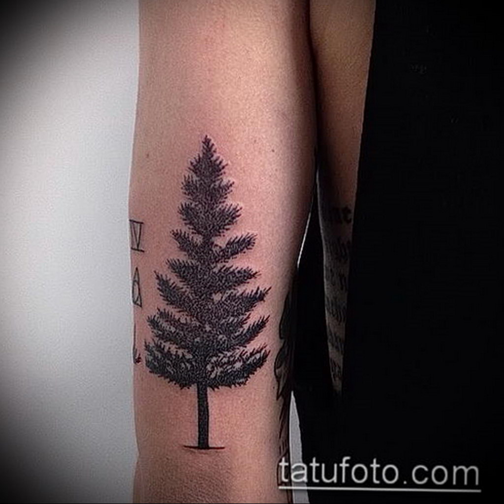 tattoo fir tree on hand 25.11.2019 №1028 -tattoo spruce- tattoovalue.net