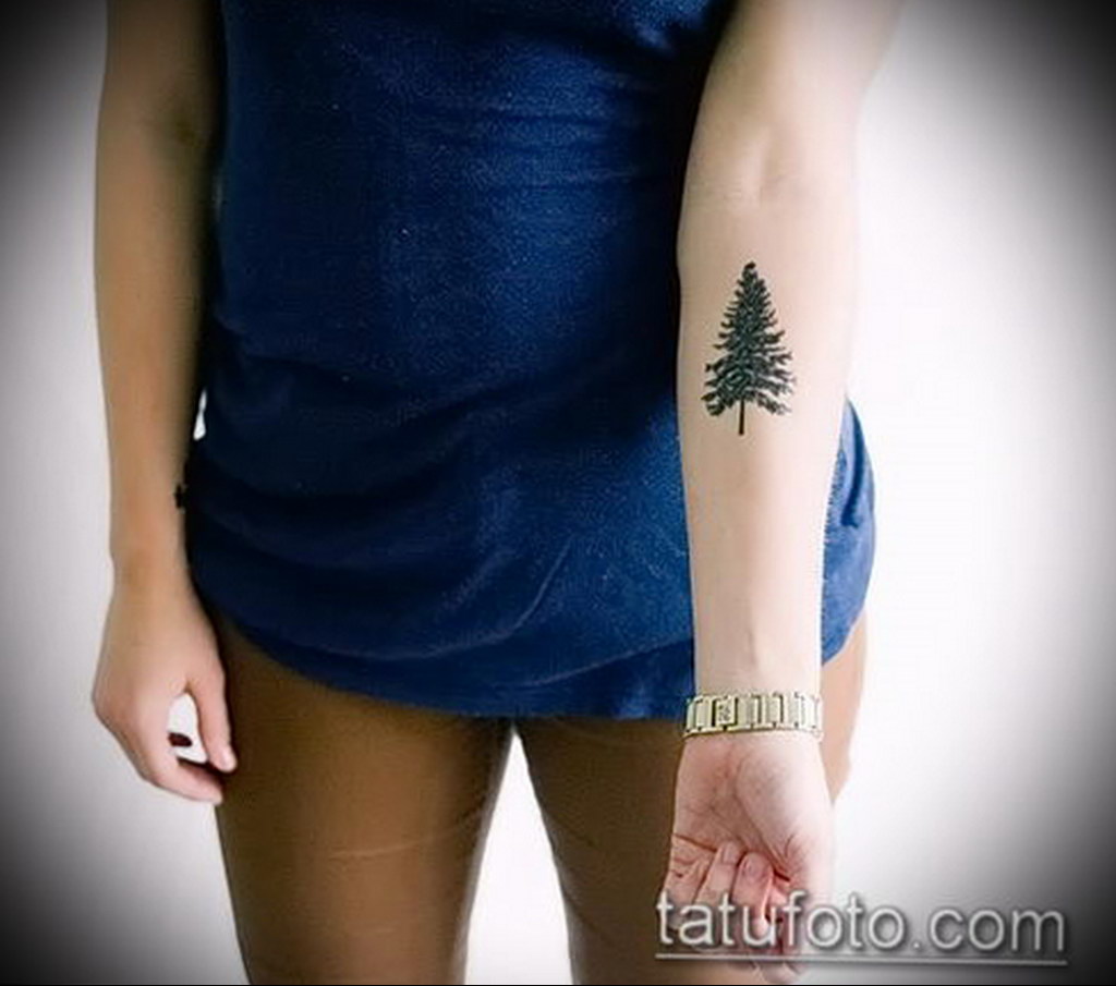 tattoo fir tree on hand 25.11.2019 №1029 -tattoo spruce- tattoovalue.net