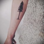 tattoo fir tree on hand 25.11.2019 №1033 -tattoo spruce- tattoovalue.net
