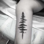 tattoo fir tree on hand 25.11.2019 №1075 -tattoo spruce- tattoovalue.net