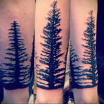 tattoo spruce 25.11.2019 №035 -tattoo spruce- tattoovalue.net