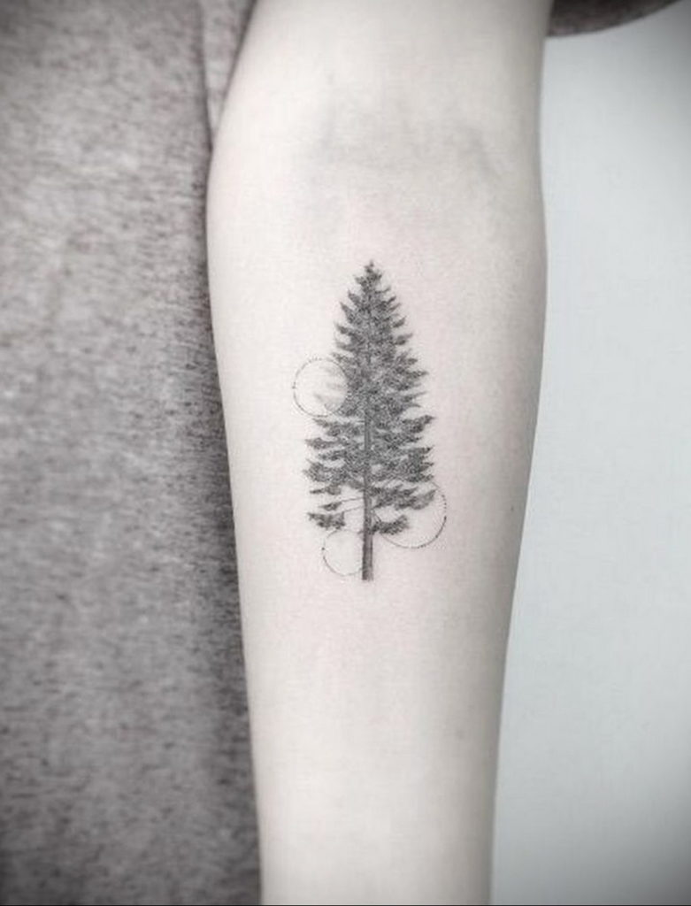 tattoo spruce 25112019 028 tattoo spruce tattoovaluenet   tattoovaluenet