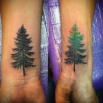 tattoo spruce 25.11.2019 №048 -tattoo spruce- tattoovalue.net