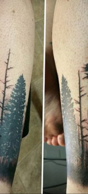 tattoo spruce 25.11.2019 №057 -tattoo spruce- tattoovalue.net
