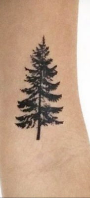 tattoo spruce 25.11.2019 №1004 -tattoo spruce- tattoovalue.net